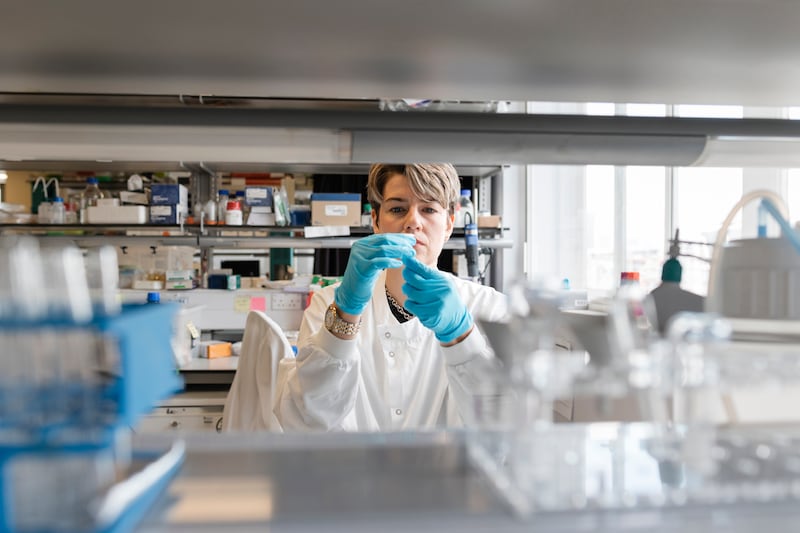 ‘Skill, baby, skill’: Plan to attract global research leaders to Ireland following US trade shock
